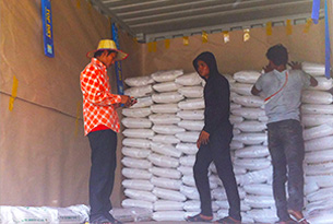 CAMBODIA RICE EXPORT